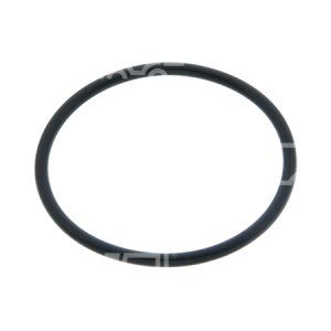 ORING SIŁOWNIKA PRZESUWU CASCADE 3A