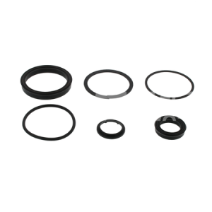 ZESTAW USZCZELEK SIŁOWNIKA PRZESUWU CASCADE 3A 4A