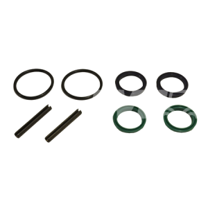 ZESTAW USZCZELEK SIŁOWNIKA PRZESUWU CASCADE 3A 