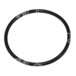 ORING ZWROTNICY LINDE 353 0009632410