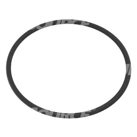ORING LINDE 0009631024